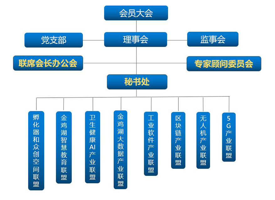 协会组织架构